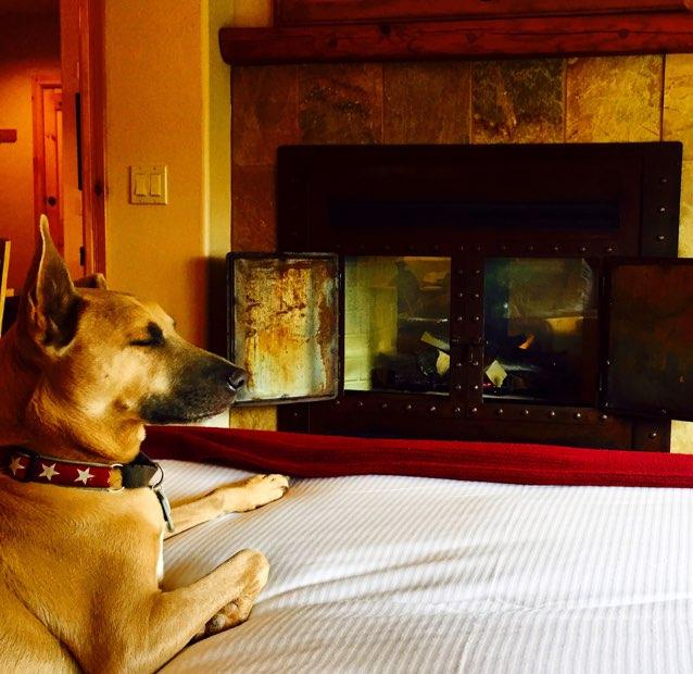 Relaxing by the fire in one of Mountain Lodge's pet friendly rooms