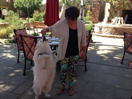 La Posada de Santa Fe is dog friendly!