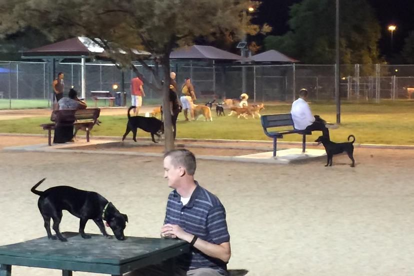 Off-Leash Dog Parks in Glendale, AZ - BringFido