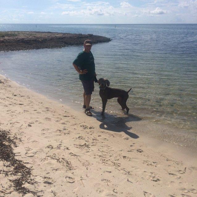 Exploring Dog Friendly Beaches in the Florida Keys