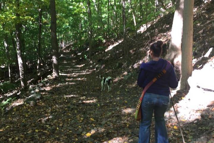 Dog Friendly Hiking Trails In New York Bringfido Dog Friendly Hiking Trails In New York Bringfido