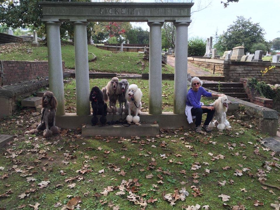 are dogs allowed in oakland cemetery