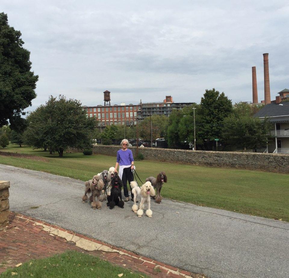 are dogs allowed in oakland cemetery