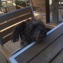 BoomerJacks restaurant view 7