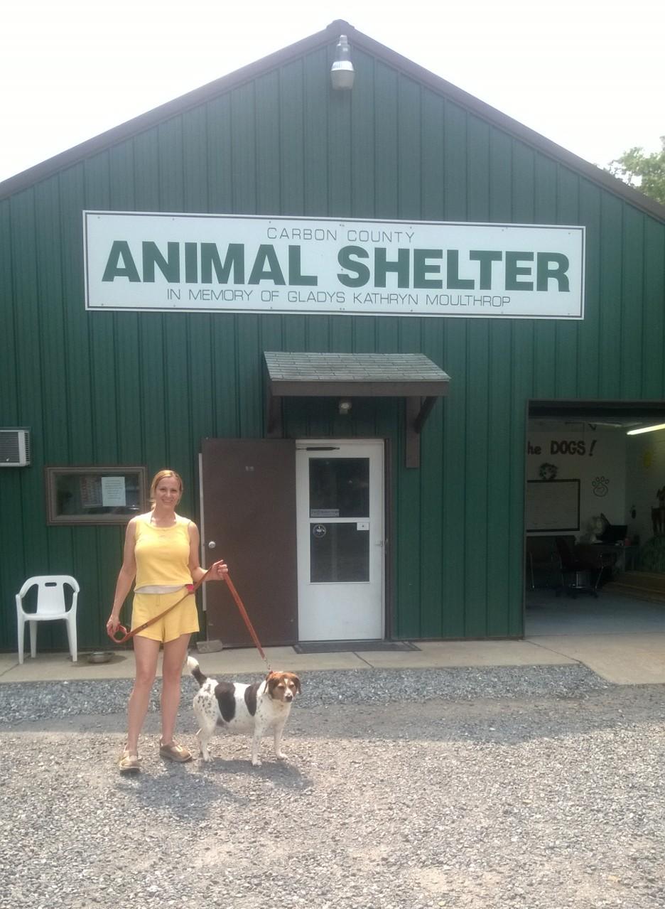 Carbon county deals animal shelter