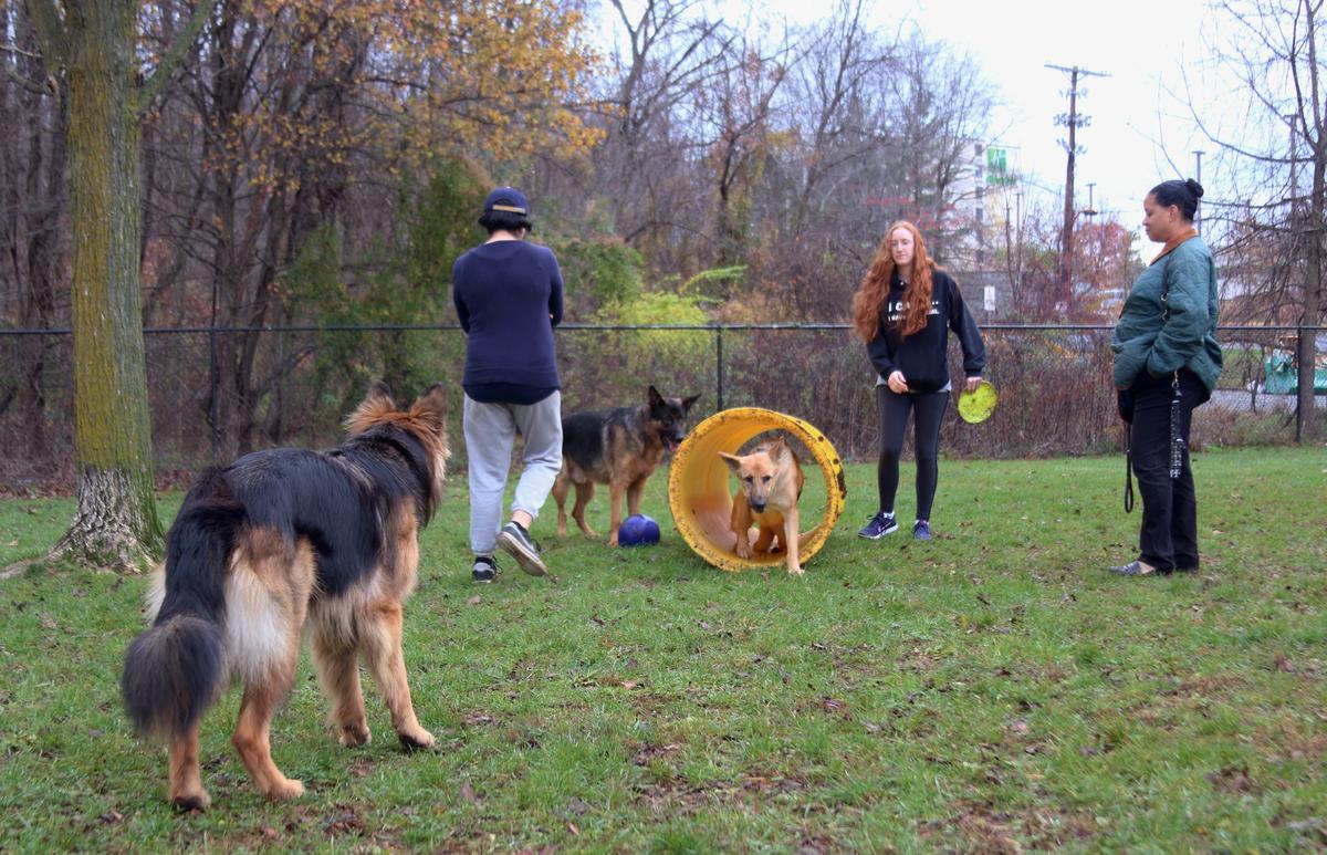 Greenbelt Dog Park