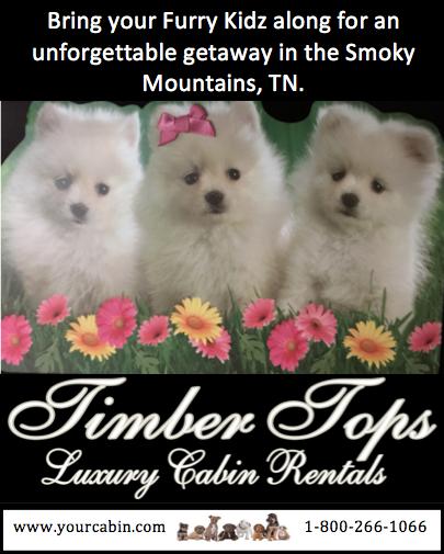 Timbertops Pet Friendy Ad