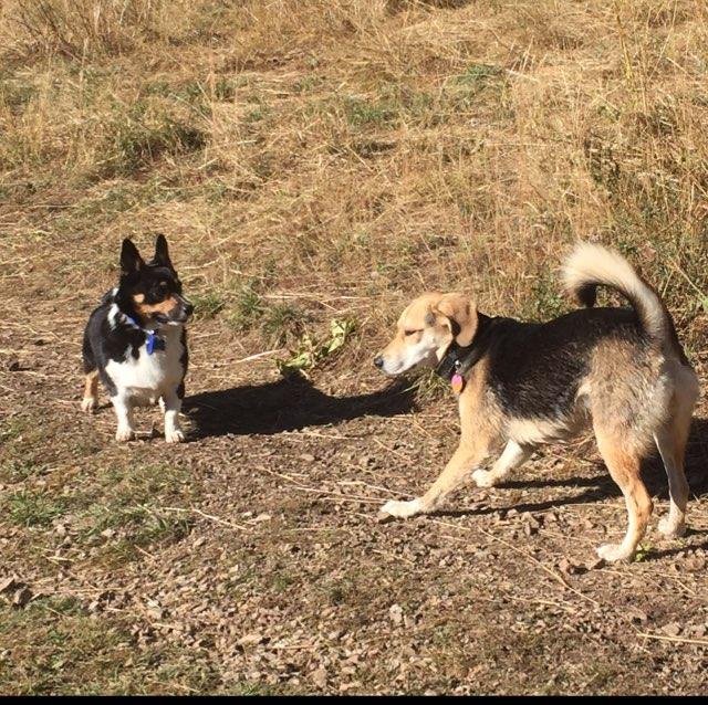 Millcreek Canyon