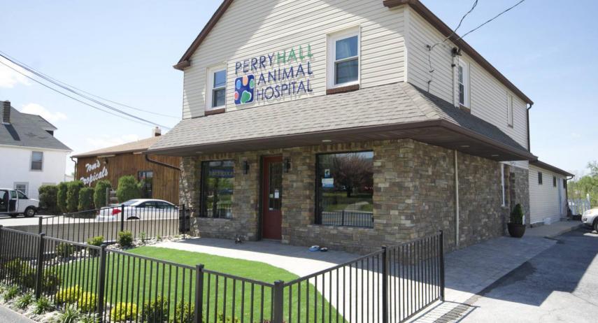 Pet Friendly Perry Hall Animal Hospital