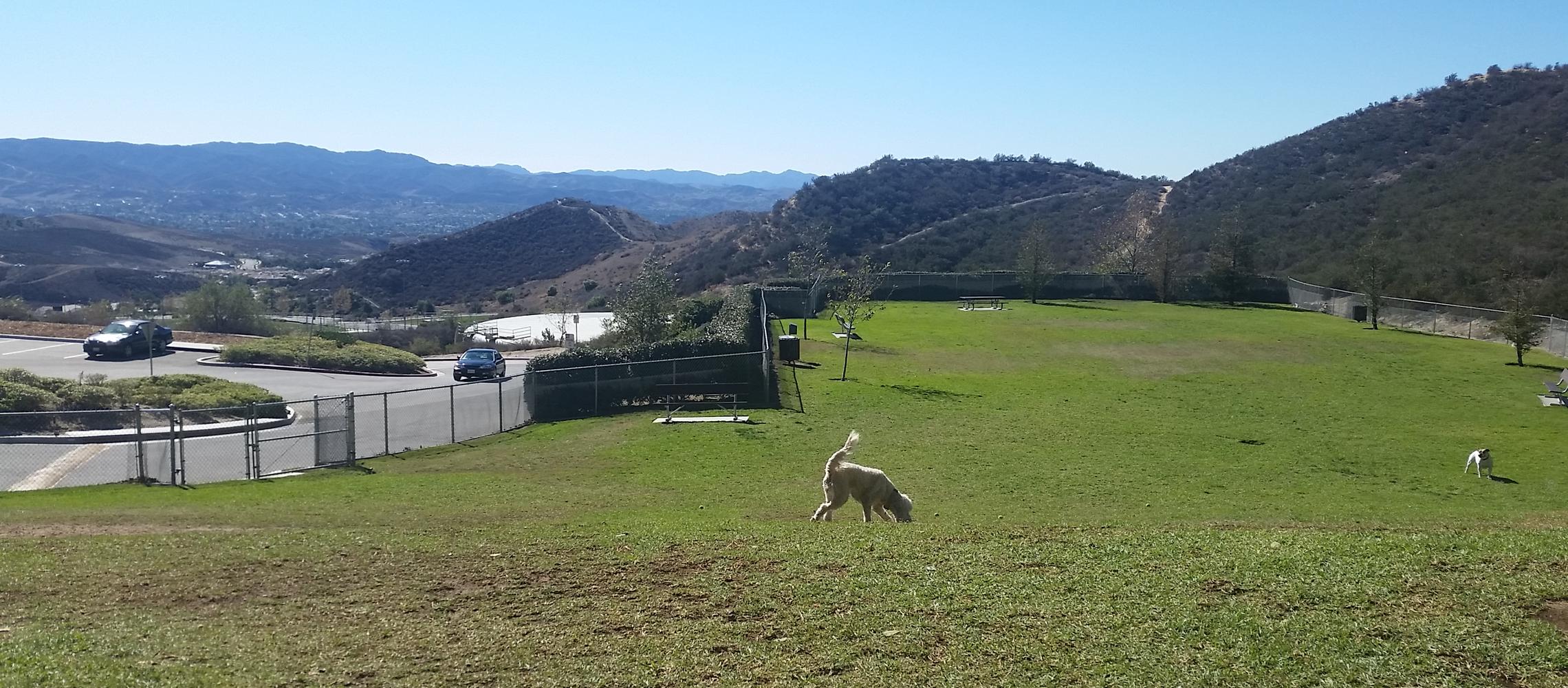 Dog Friendly Simi Valley, CA