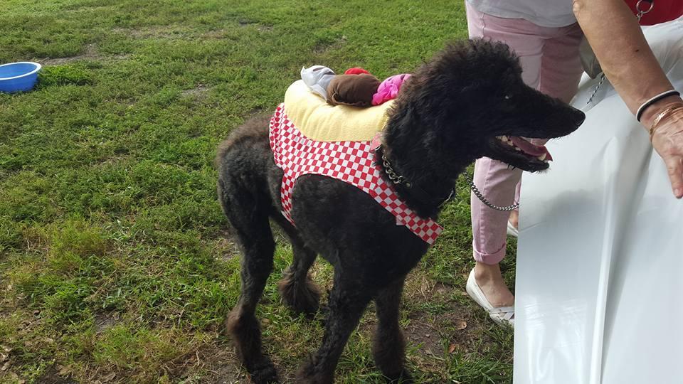 Regal Pet Services LLC