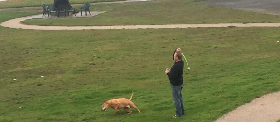 Dog Friendly San Simeon, CA