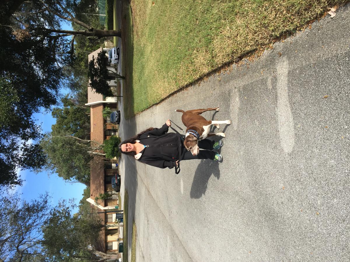 Dog Friendly Altamonte Springs, FL