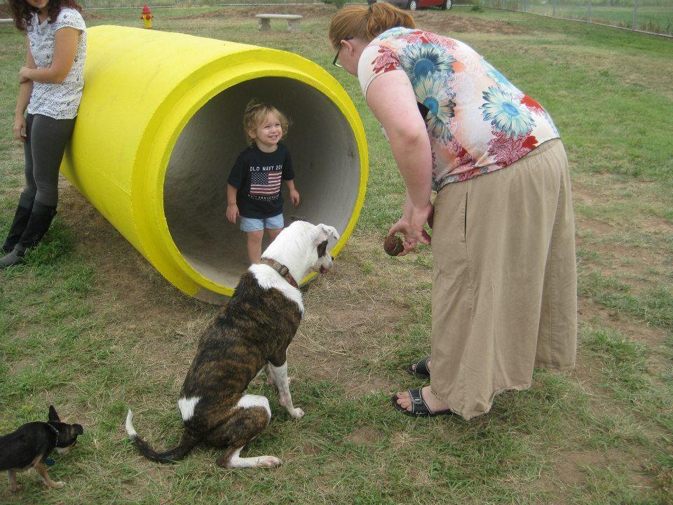 50 Photos Of Bark In The Park, San Antonio