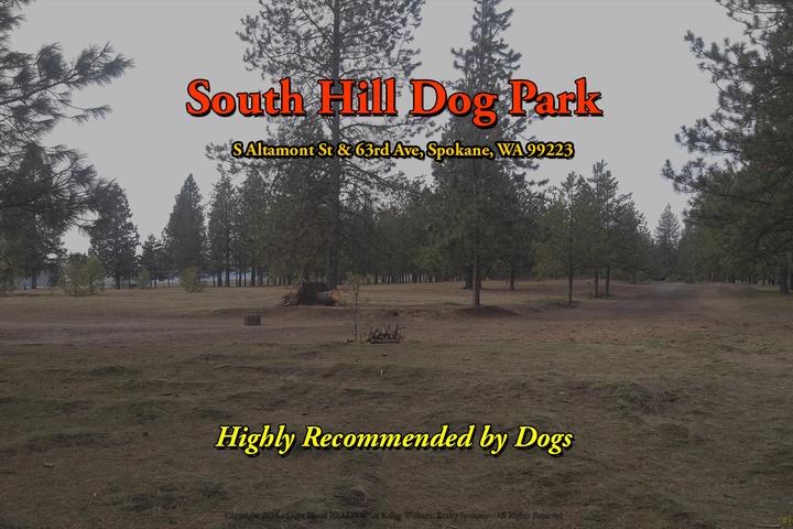 Pet Friendly South Hill Dog Park