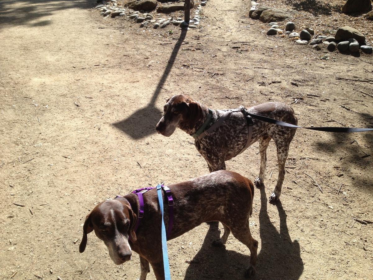 Princess and Duncan