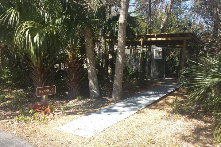 Dog Friendly Activities In Homosassa Fl Bringfido Dog Friendly Activities In Homosassa Fl Bringfido