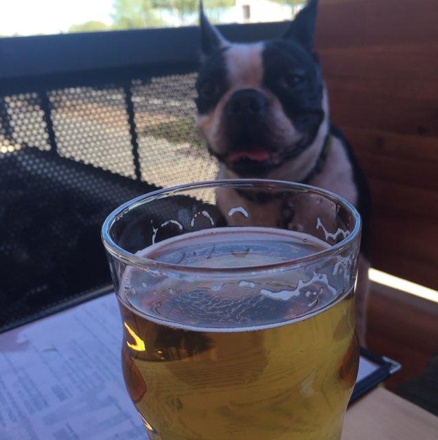 Pet Friendly Fate Brewing Company South Scottsdale