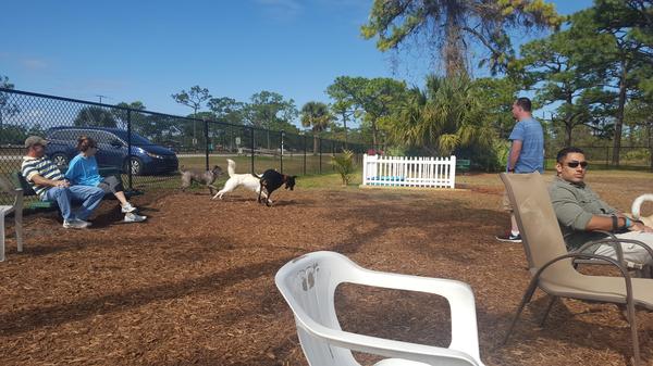 Wickham Park Dog Park
