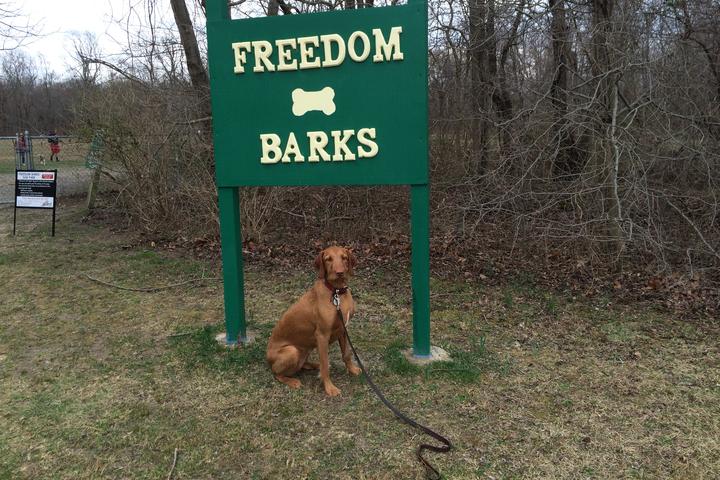 Pet Friendly Freedom Barks Dog Park