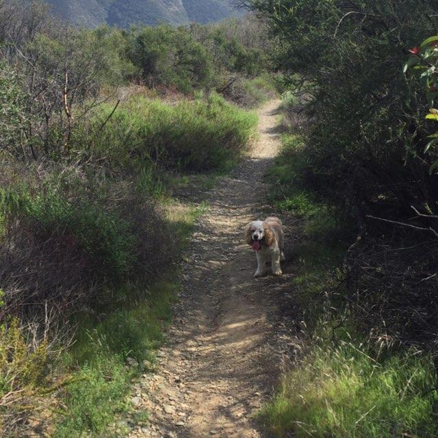 Westridge canyon outlet wilderness park