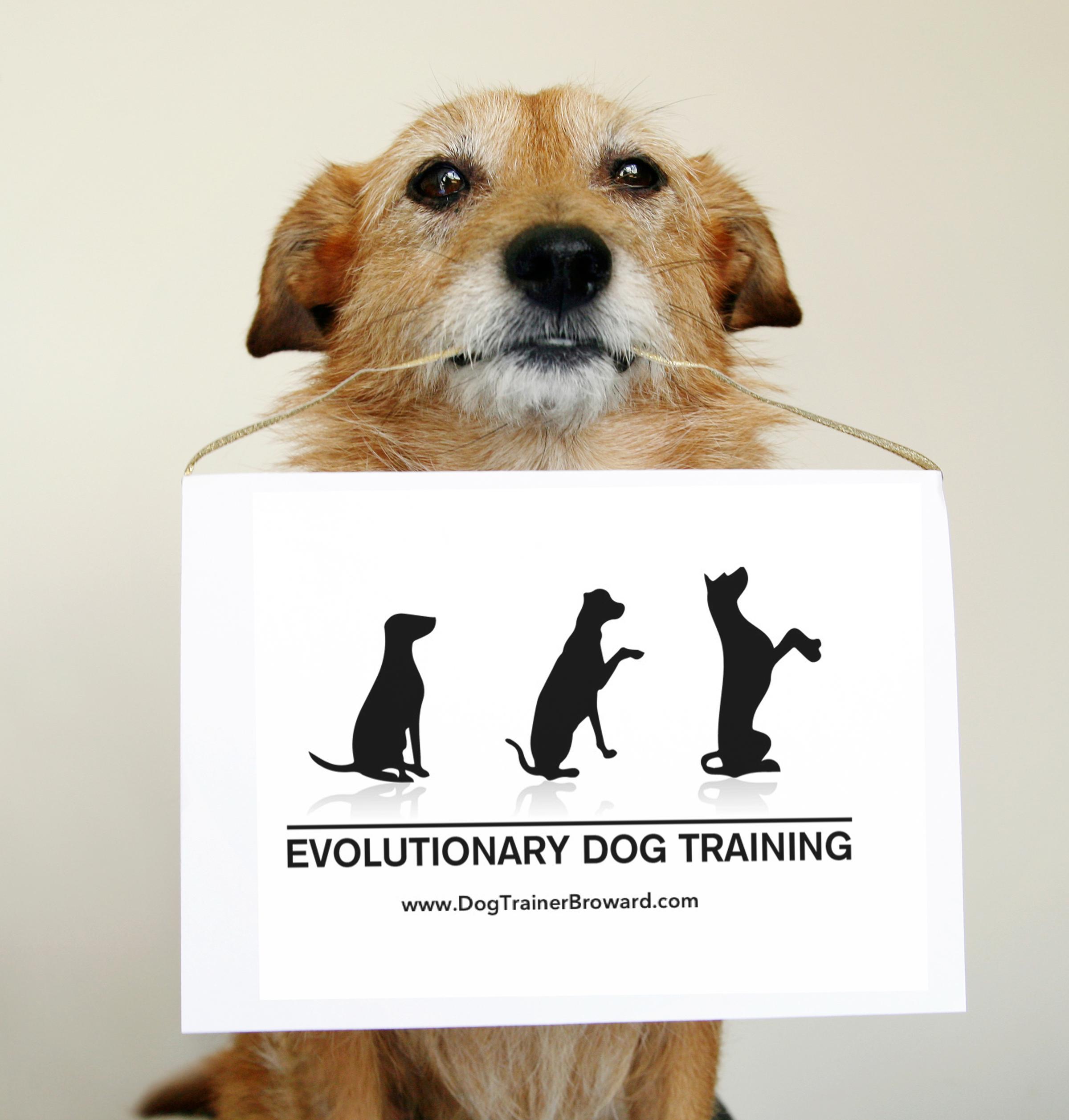 Pet Friendly Evolutionary Dog Training, LLC