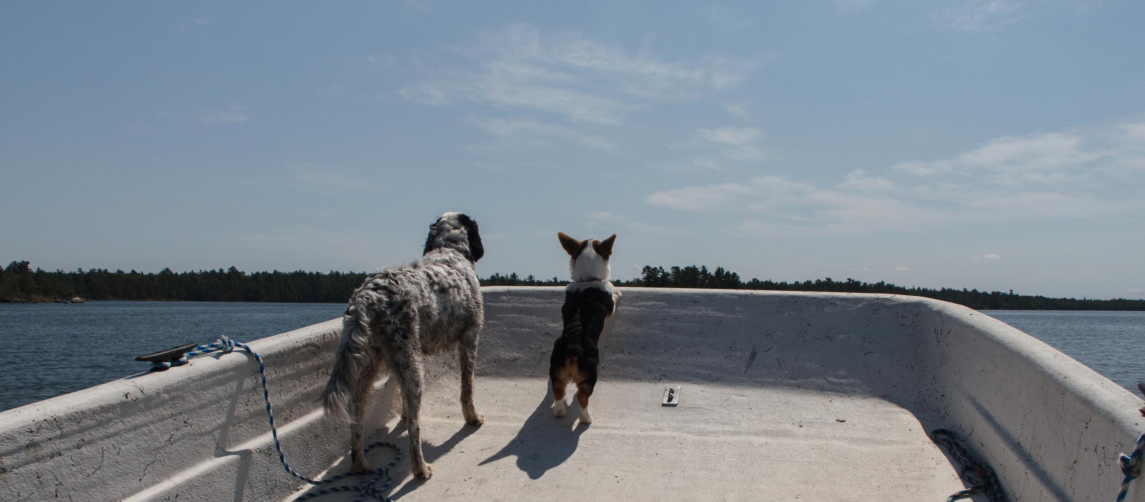 Dog Friendly Fort Frances, ON