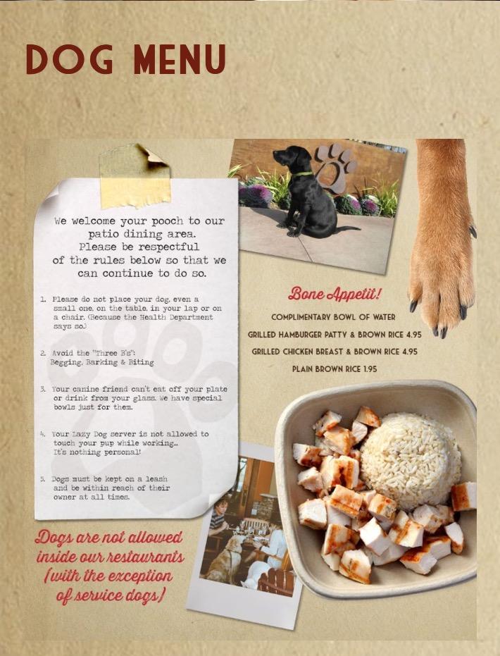 Lazy Dog Offers A Menu For Dogs BringFido lazy-dog-offers-a-menu-for-dogs-bringfido