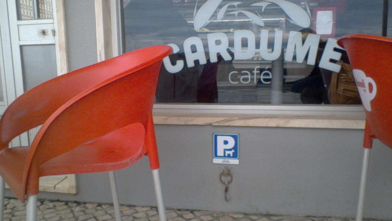 Pet Friendly Cardume Café