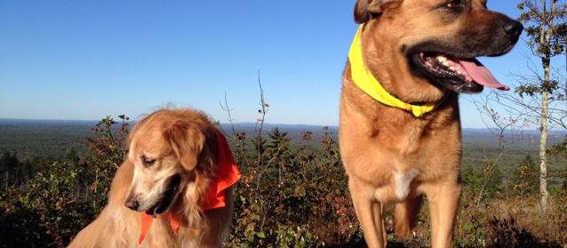 Beautiful day for a hike Beautiful day for a hike