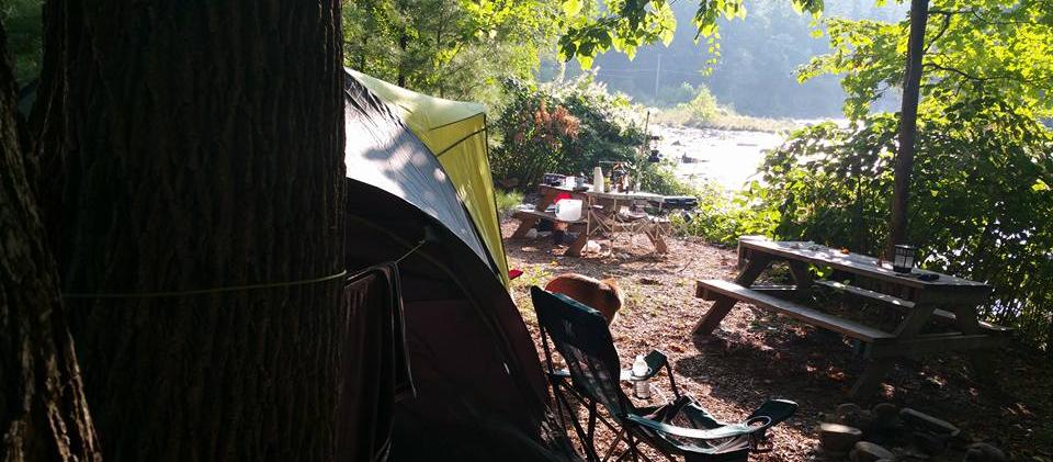 Dog Friendly Phoenicia, NY