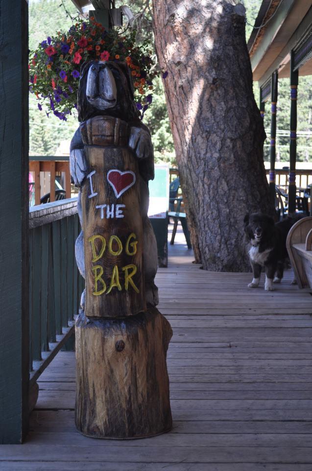 Pet Friendly Dog Bar & Grill