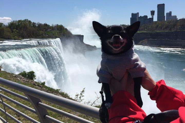 Pet Friendly Niagara Falls State Park
