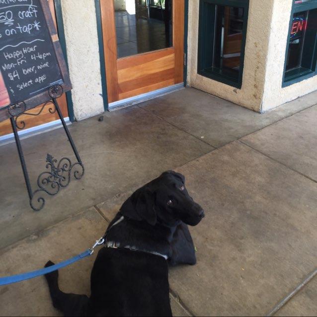 Pet Friendly The Pint House Bar & Grill 