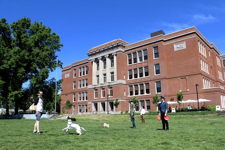 Pet Friendly Washington High School Dog Park