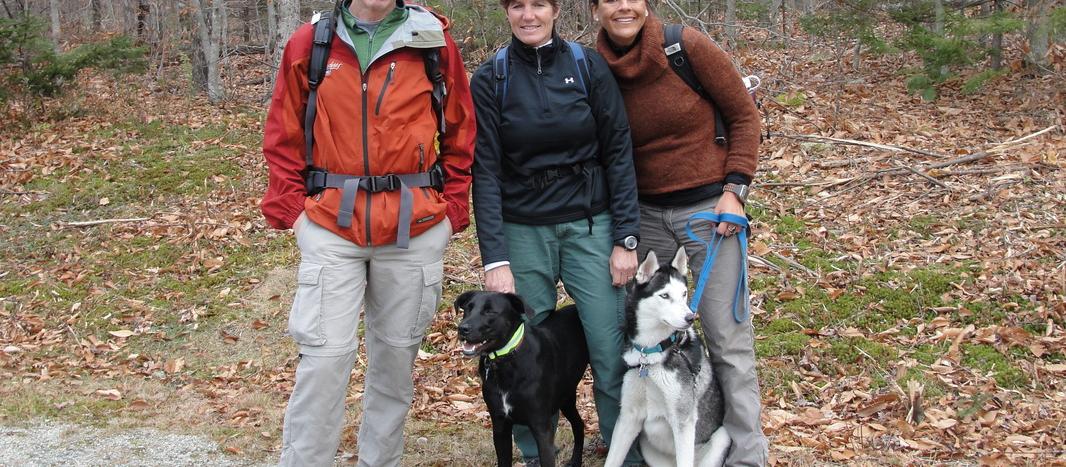 Dog Friendly Plymouth Nh Bringfido