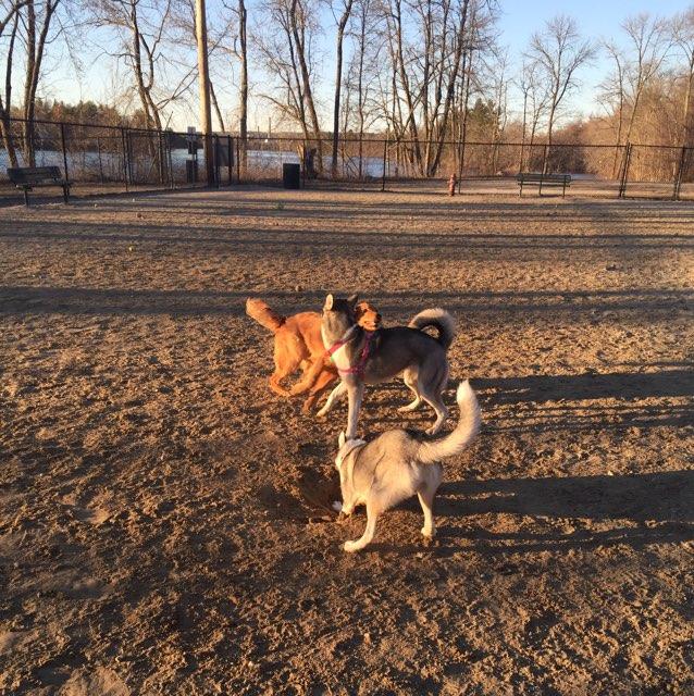 Hooksett Dog Park