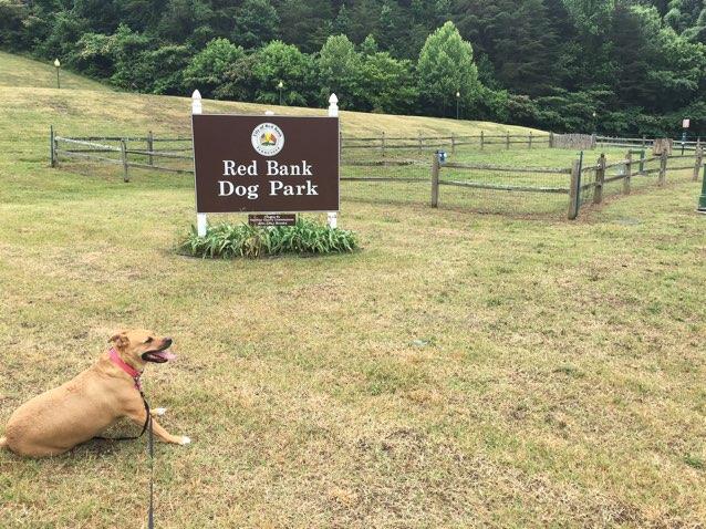 Pet Friendly Red Bank Dog Park