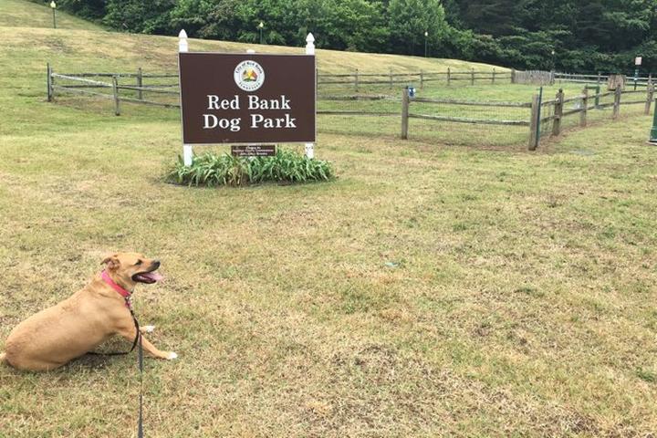 Pet Friendly Red Bank Dog Park 
