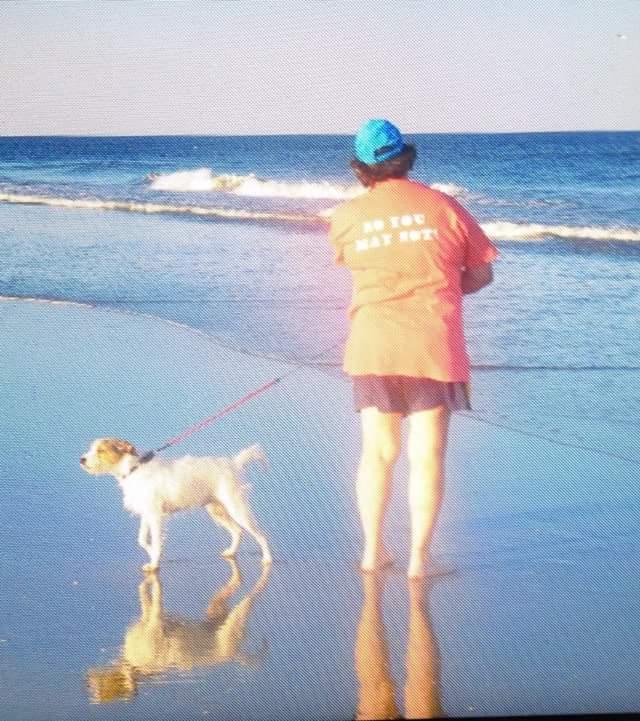 are dogs allowed on stone harbor beaches