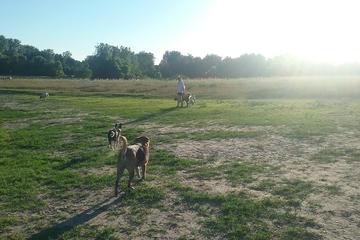 Off Leash Dog Parks In Shoreview Mn Bringfido