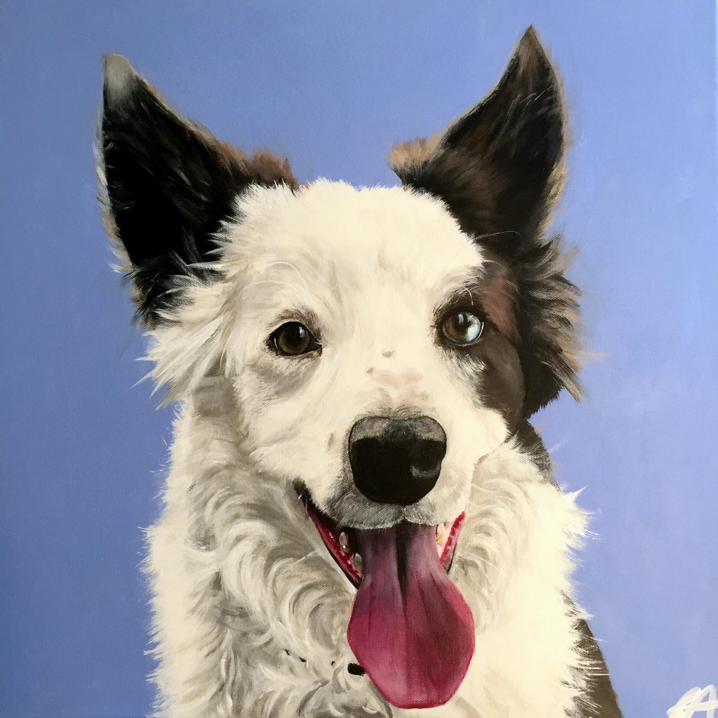 Pet Friendly Nose Prints - Painted Pet Portraits