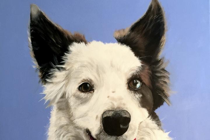 Pet Friendly Nose Prints - Painted Pet Portraits