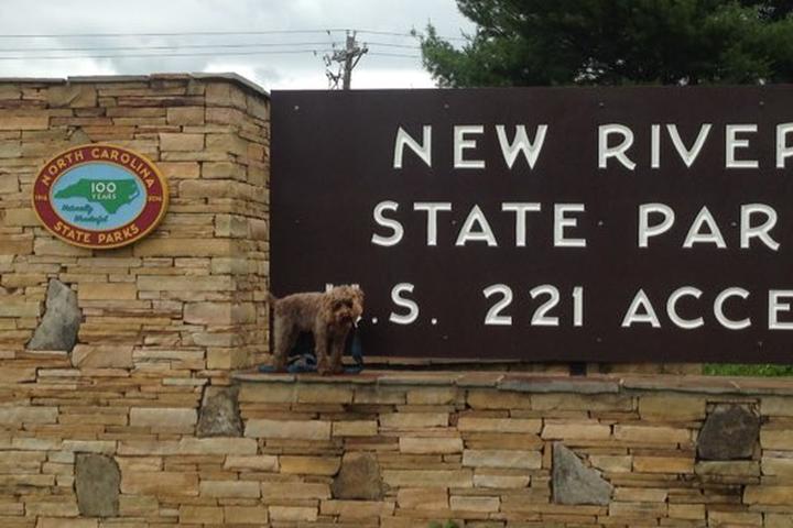 Pet Friendly New River State Park