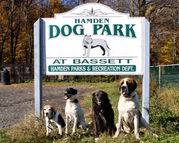 Hamden Dog Run at Bassett Park