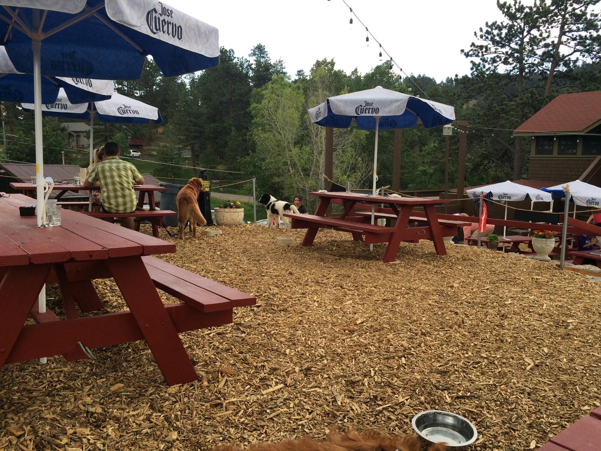 Lariat Lodge Brewing Company Is Pet Friendly