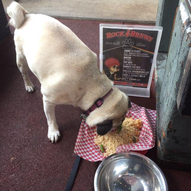Pet Friendly Rock & Brews