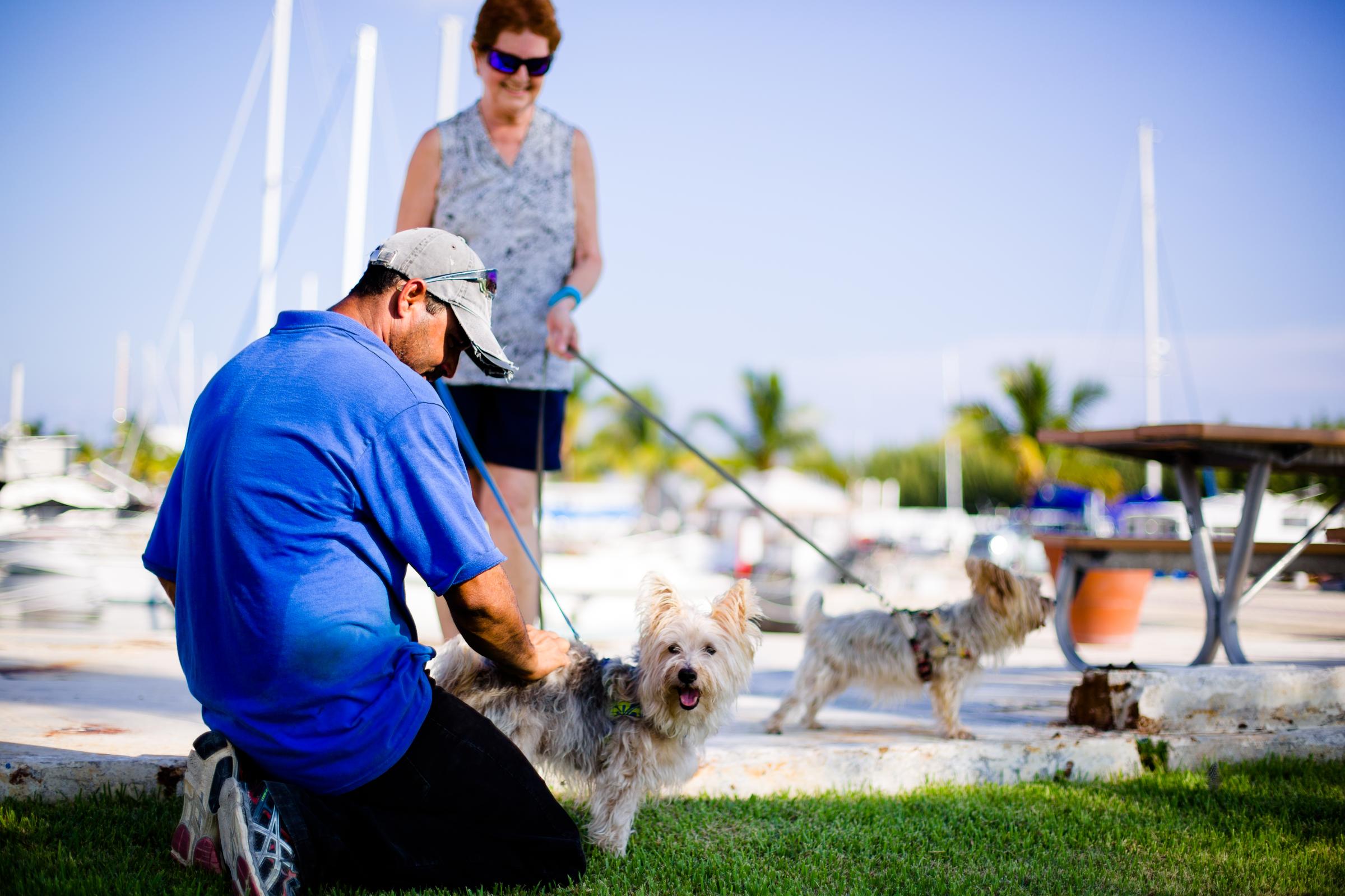 Dog Friendly Activities in Key West, FL - BringFido