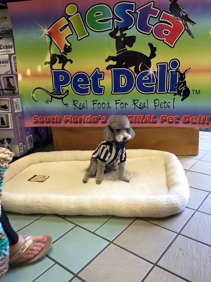 Dog Friendly Shopping In Boynton Beach Fl Bringfido