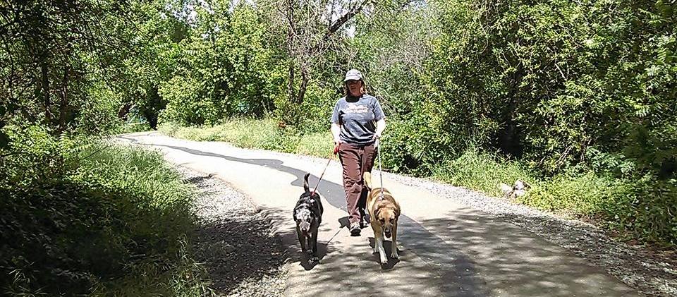 Dog Friendly Cloverdale, CA